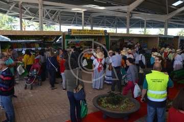 Narea abre como recova con ambiente navideño y de satisfacción general (Foto Francisco Javier Santana y TA)